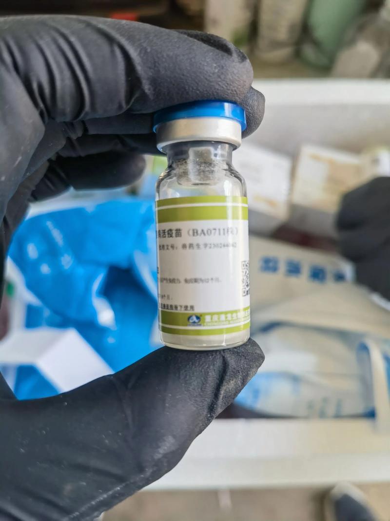 山东大学微生物考博如何备考?-图2 山东大学微生物考博如何备考?-图2