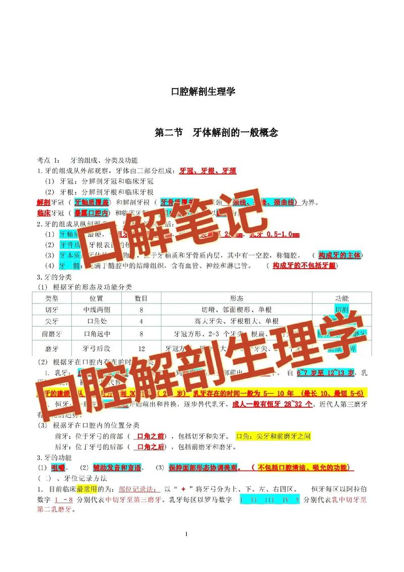 南京大学口腔考研经验如何高效备考？-图3