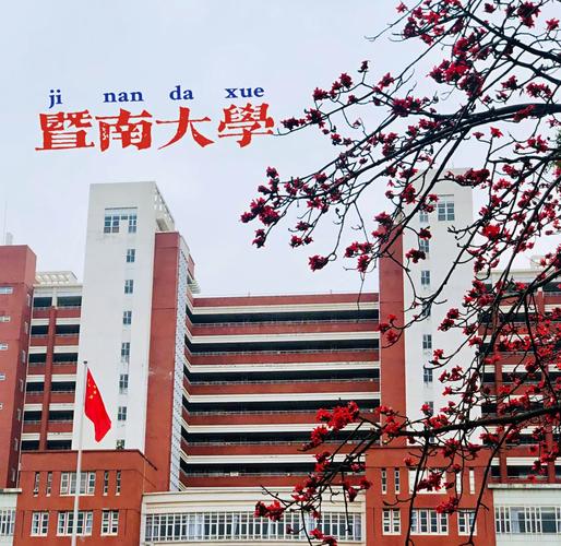 暨南大学有机化学考博有何备考重点？-图3