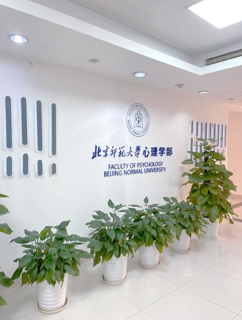 北师大教育心理学考博如何高效备考？-图1