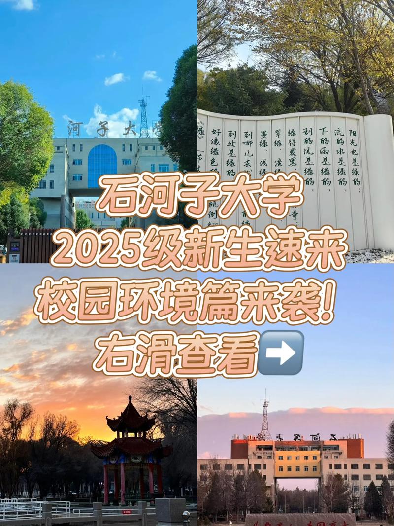 石河子大学306考研考什么？-图2