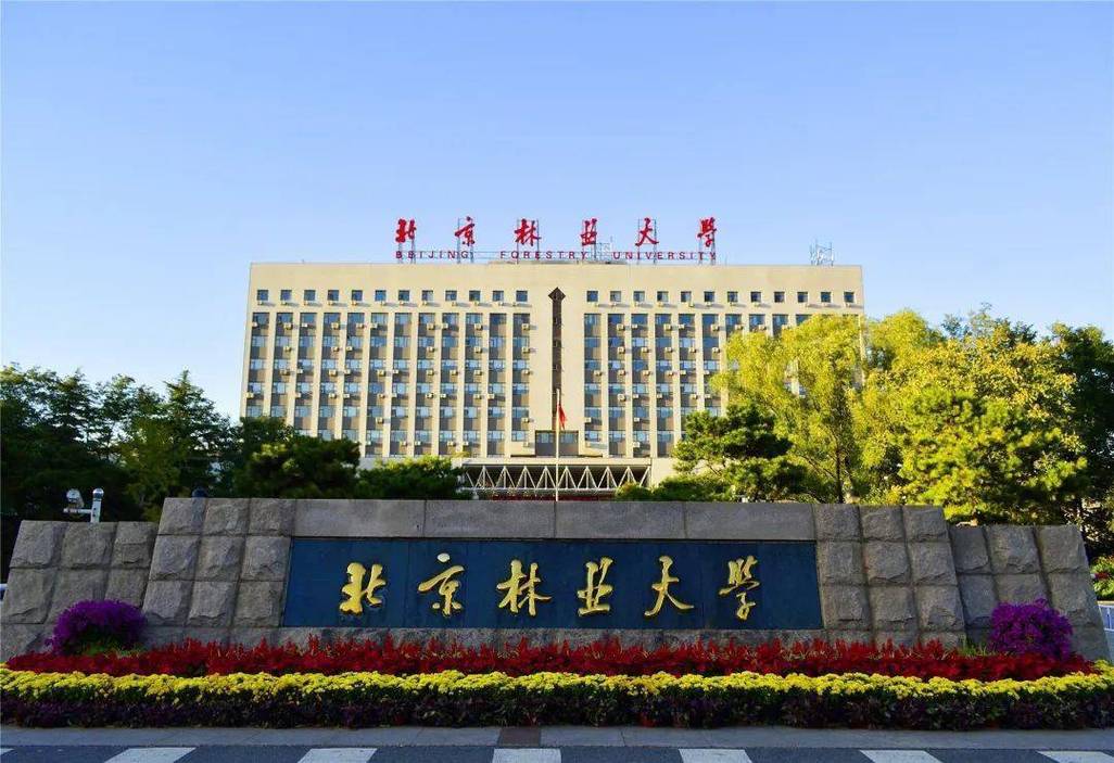 北京林业大学林学考博有哪些关键点？-图2