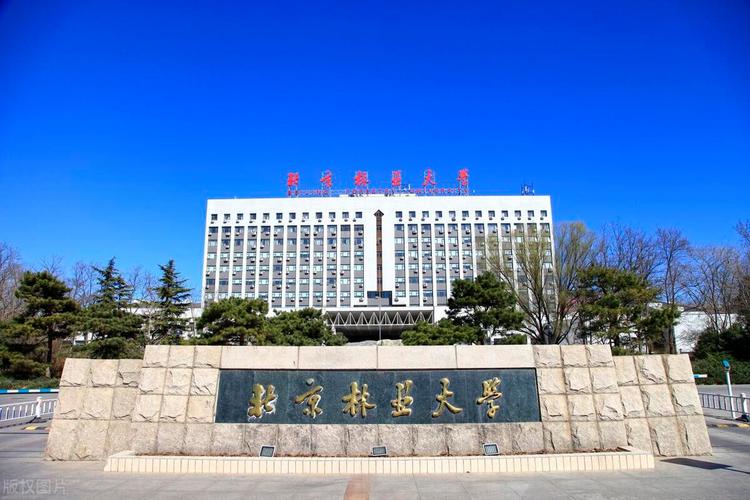 北京林业大学林学考博有哪些关键点？-图3