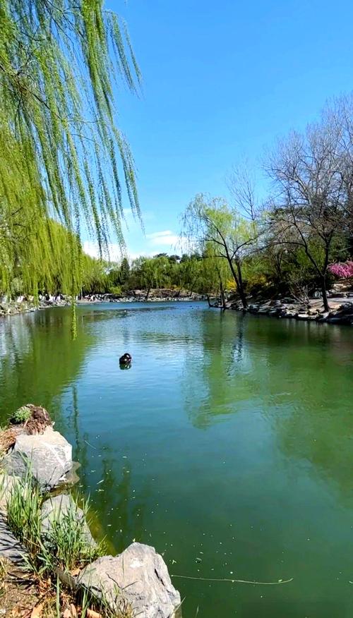 清华风景园林考博，如何高效备考？-图2